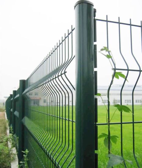 Welded-Wire-Fence-in-50X200mm-with-Peach-Post.jpg