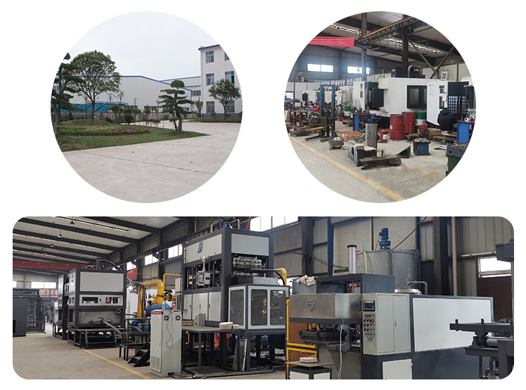 machine de moulage de pâte à papier_machine à plateau d'oeufs_machine à  fibres moulées_Hunan Shuanghuan Fiber Moulding Machinery Co.,Ltd