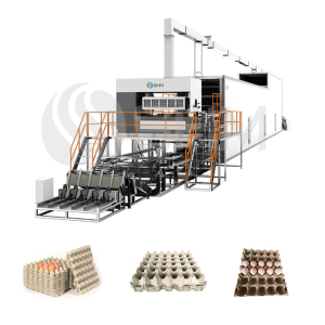 Machine de fabrication de plateaux à œufs en gros