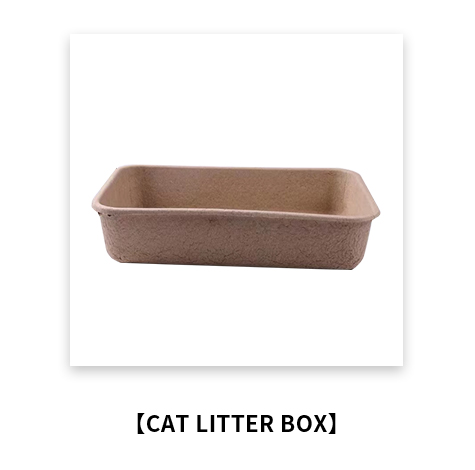 cat litter box.jpg