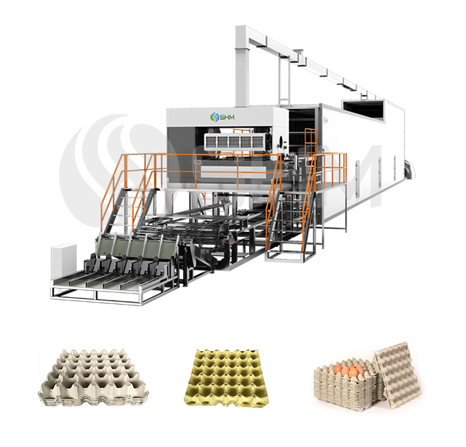 Máquina rotativa de fabricación de cartón para huevos
