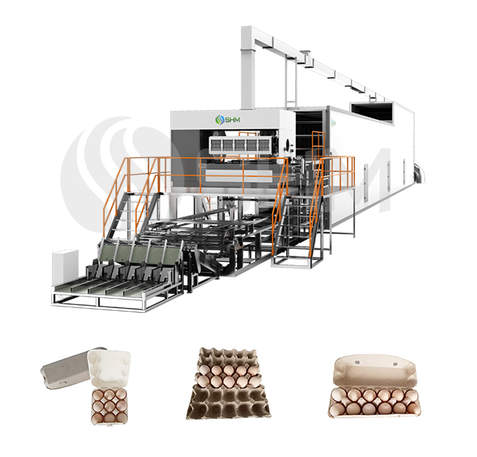 Recycling Waste Paper Egg Tray Machine