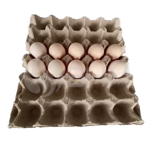 Cómo funciona una línea de producción de bandejas de huevos de papel usado reciclado?