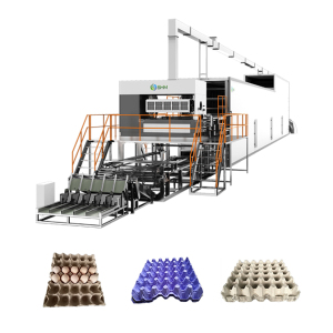 Máquina para fabricar bandejas de huevos pequeñas