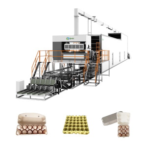 Máquina de producción de bandejas de huevos de pasta de papel