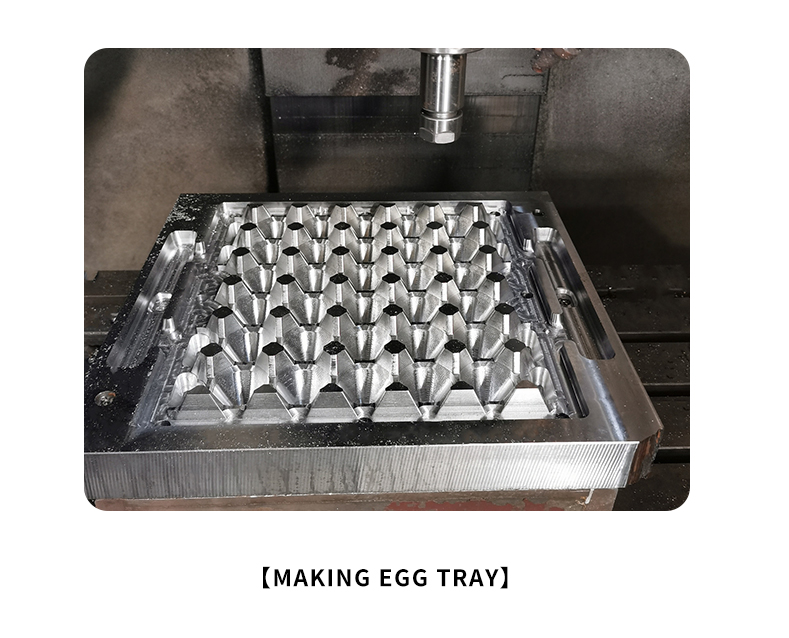 Egg Tray Mold